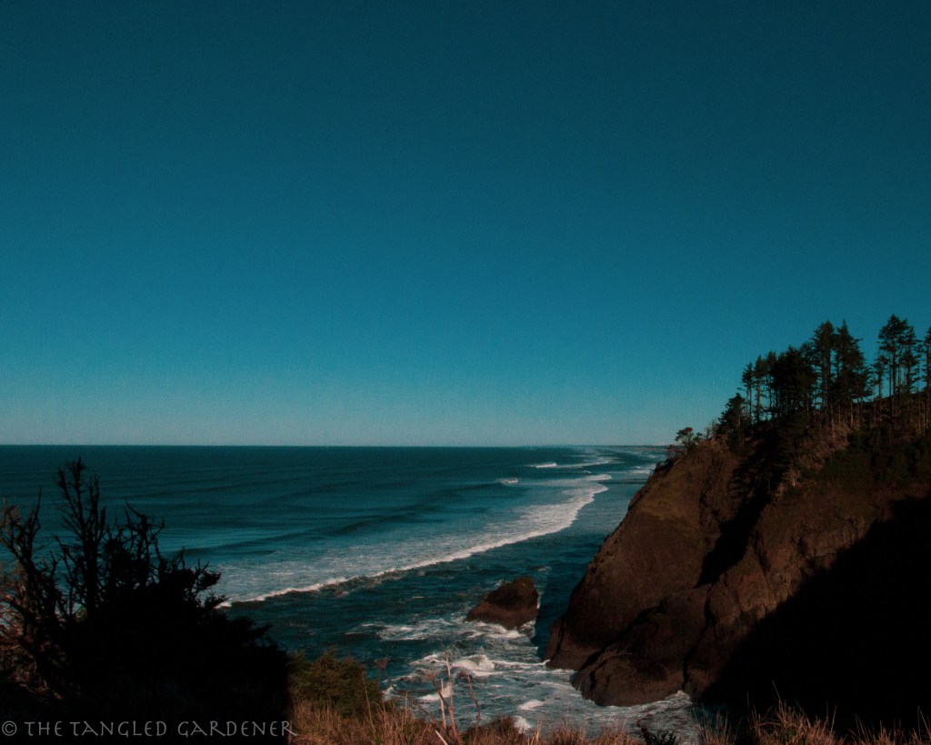 View of the cliff side and the ocean rolling in.