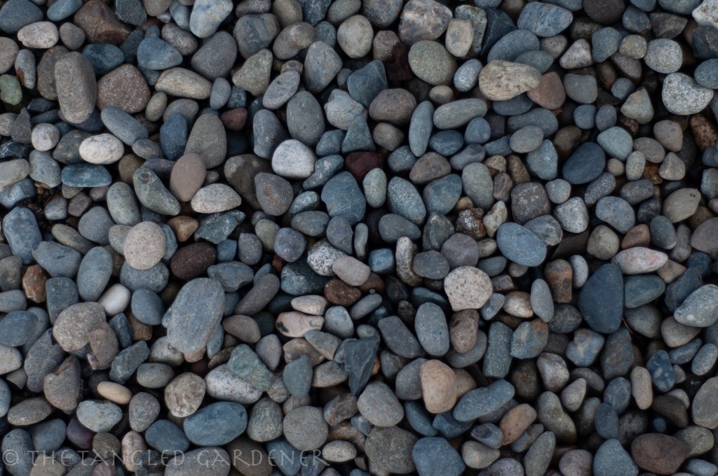 soft smooth pebbles in grays, blues, white, and browns